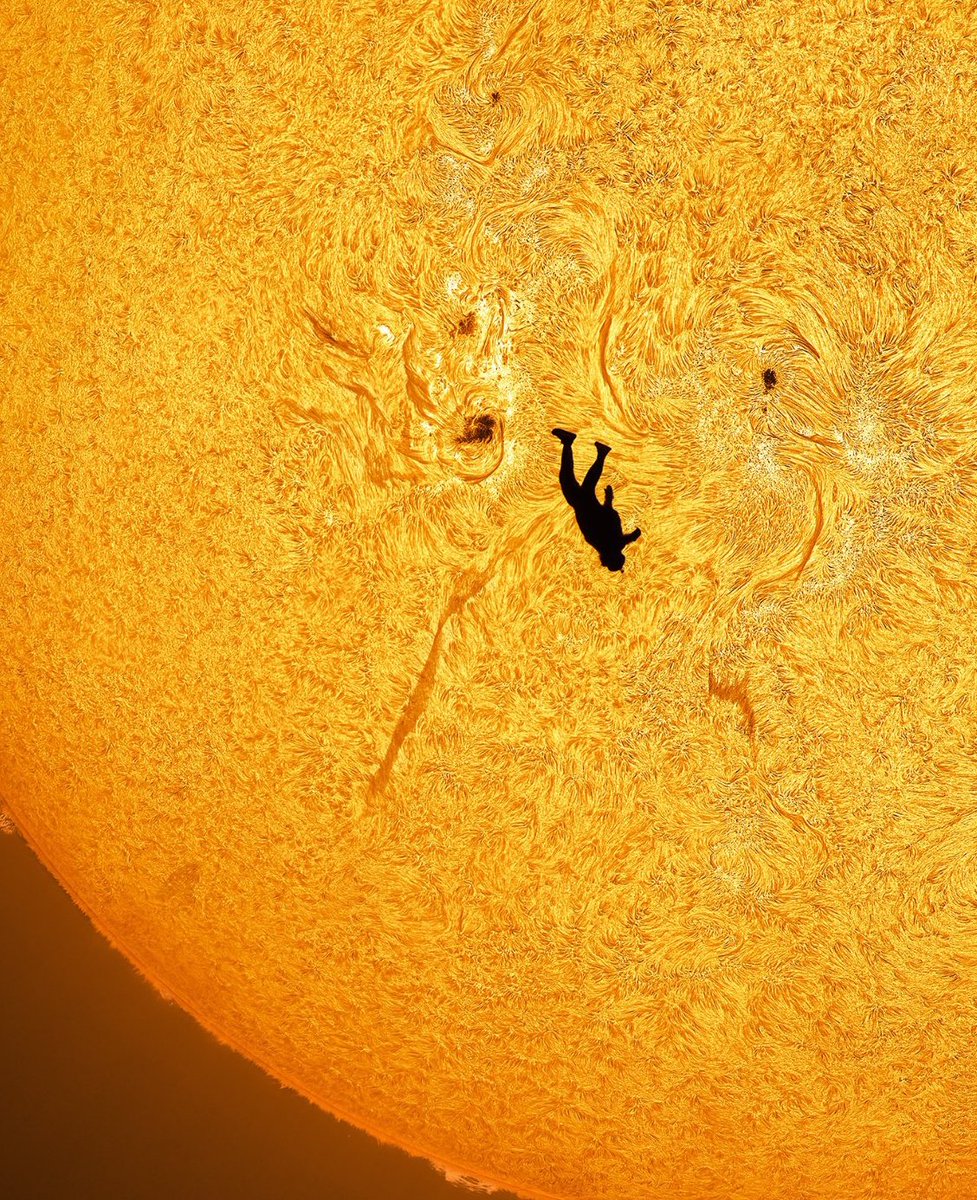 Space Nøsey tweet media