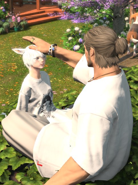 머무이 (@meomu_i) on Twitter photo 