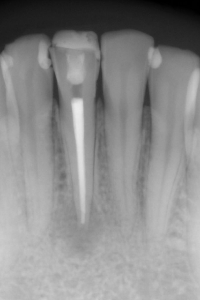 Maha 🦢 tweet media