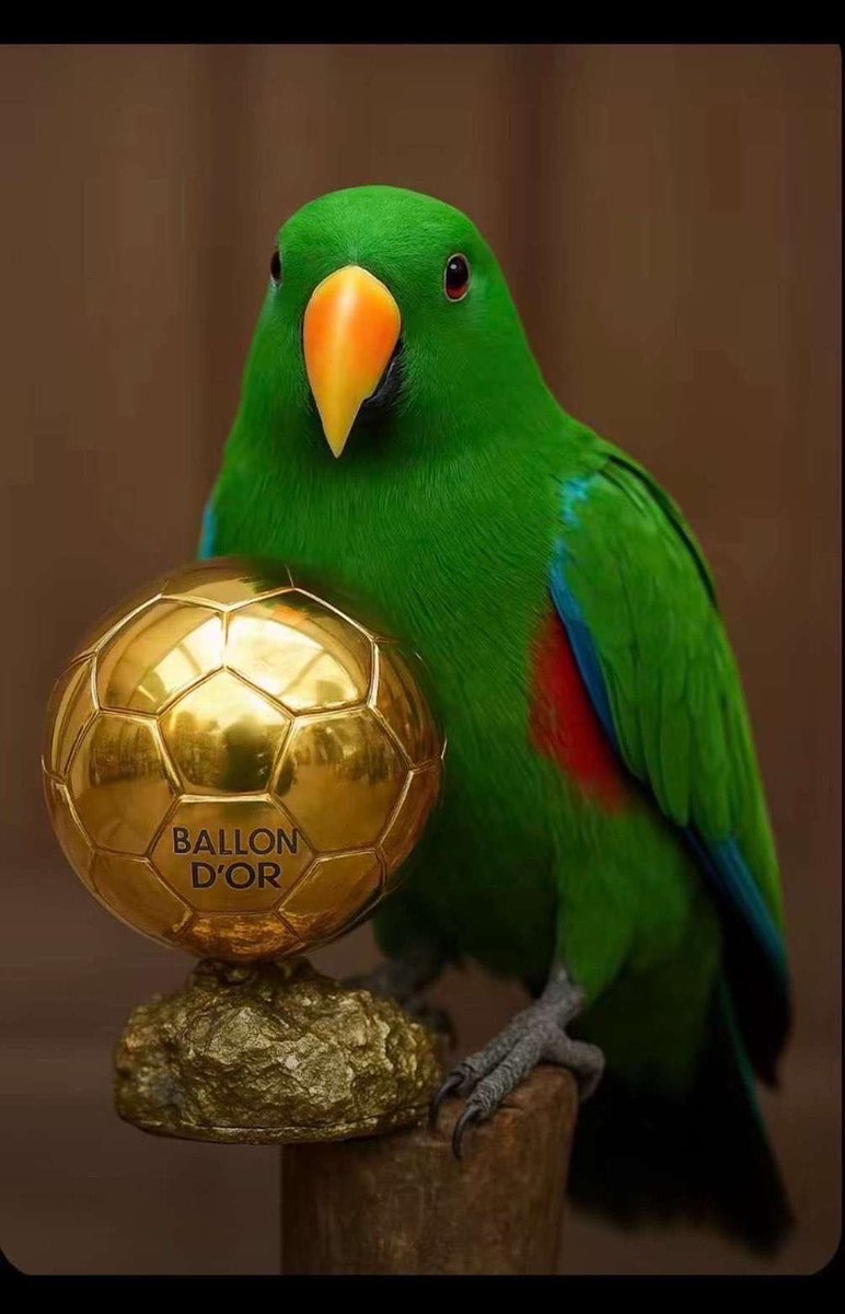 TroyParrottFan's tweet photo. Troy fucking Parrot. That’s the tweet. https://t.co/BQPBX5dfVo