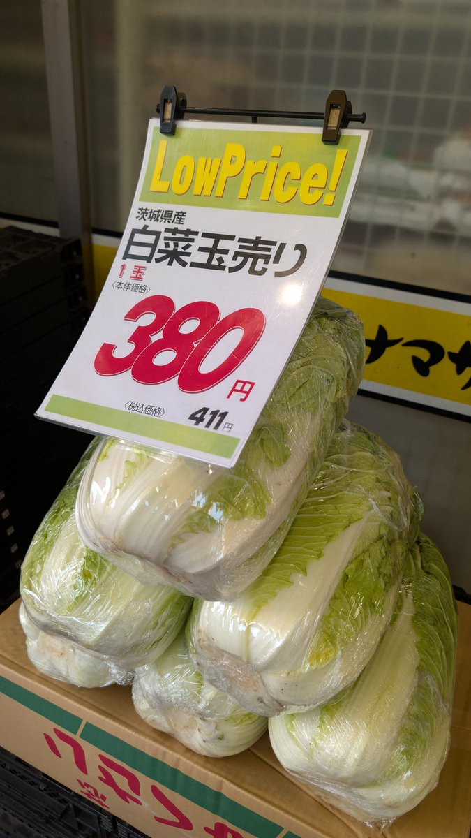 白菜 東京だと411の白菜が、産直だと250円で安さを感じる。 と思って買って