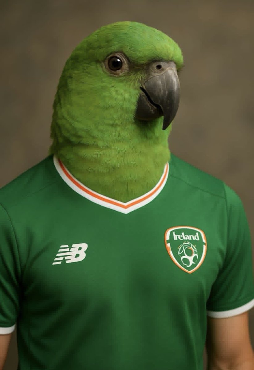 Ya little ride!!!

#COYBIG