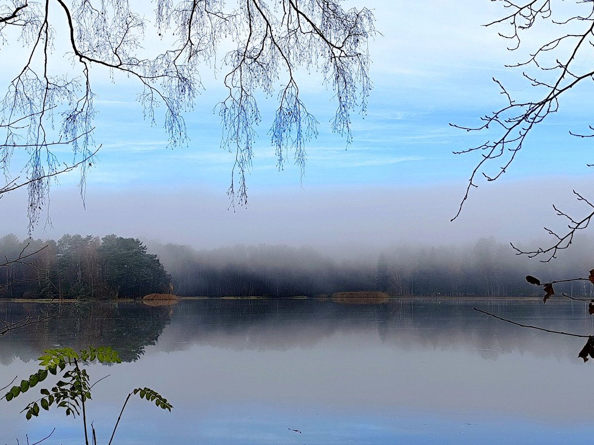 EdithPY2's tweet image. Ce matin, dans les #VosgesDuNord. Étang de Hanau.