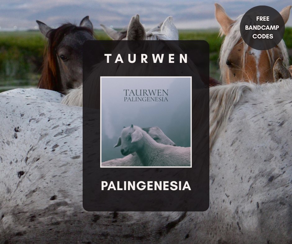 Sharing a handful of download codes from my latest album.

taurwenofficial.bandcamp.com/yum
lk6s-7m9q
2vte-g643
s7tu-6s99
nmzp-gz43
vzjn-6xb8
2tew-y7kx
ghm6-6qr6
2y4t-6s5k
atp2-klb8
jln5-6h8z
