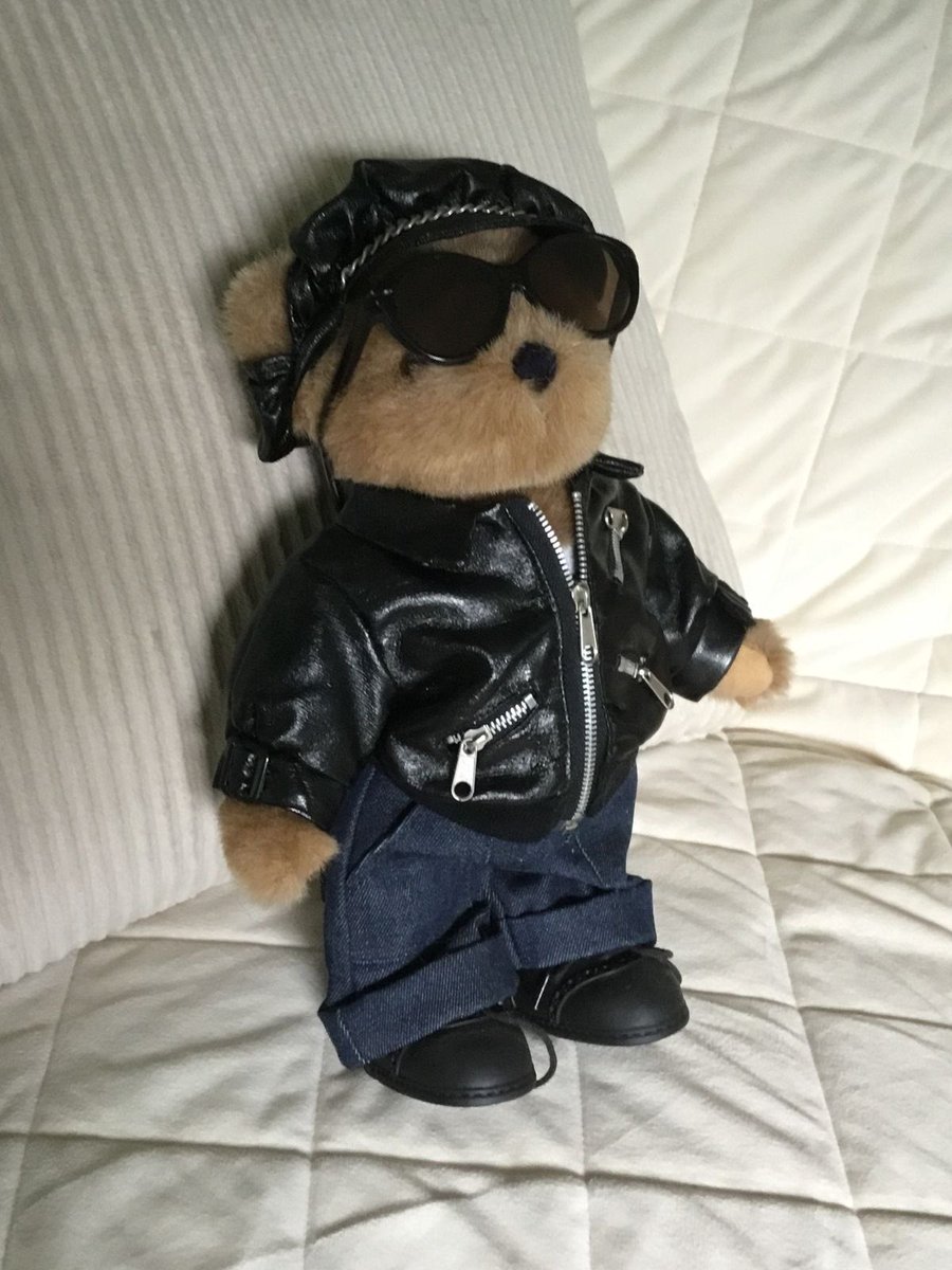 daily teddy bear daniel molloy tweet media