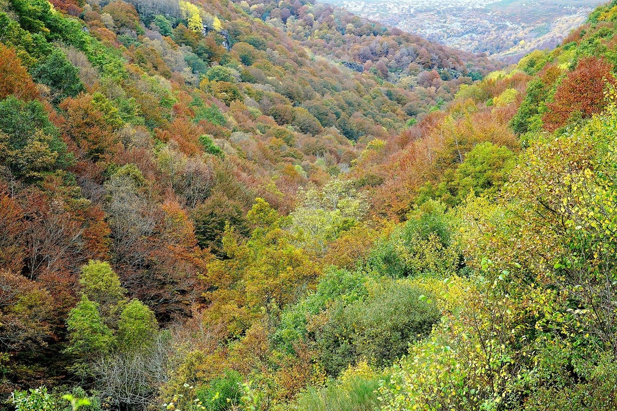 😍 ¿La superioridá estéticu del monti sellencu cantábricu?

📍 Campoo, 💢.
📷 Mariano Aspiazu.