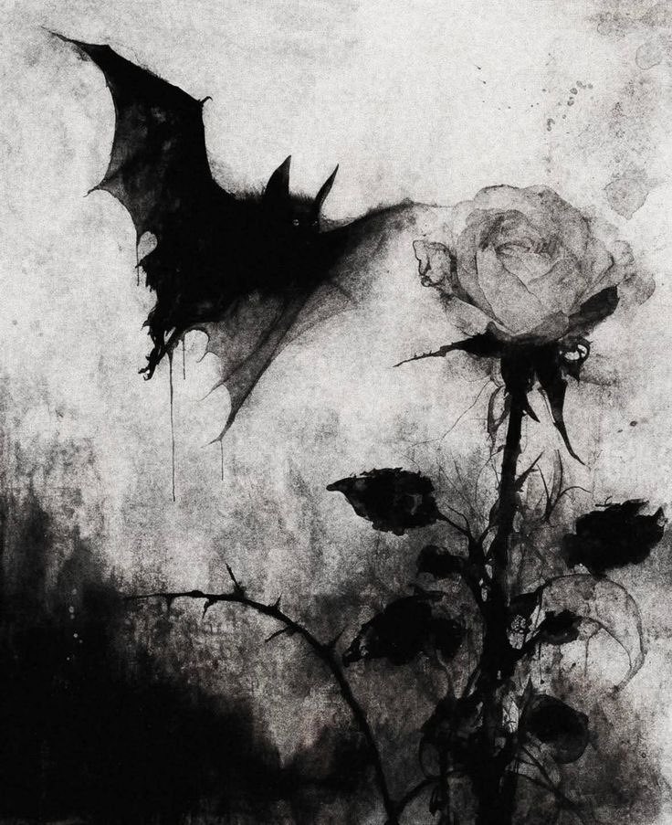 ChaosTherapy666's tweet image. 