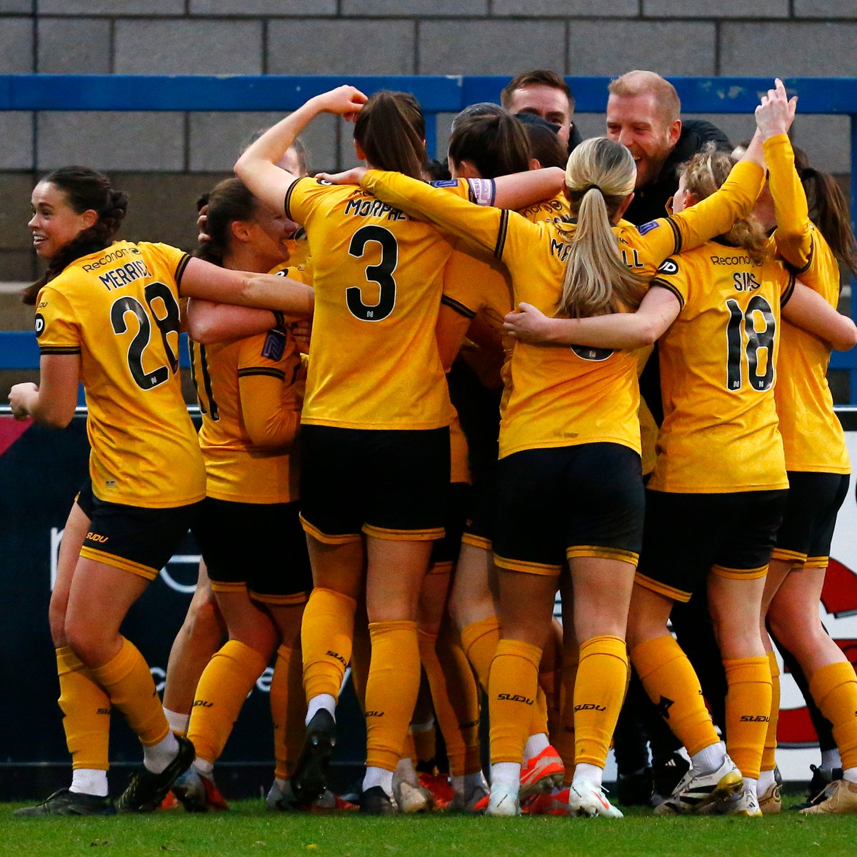 Absolute pandemonium 😍