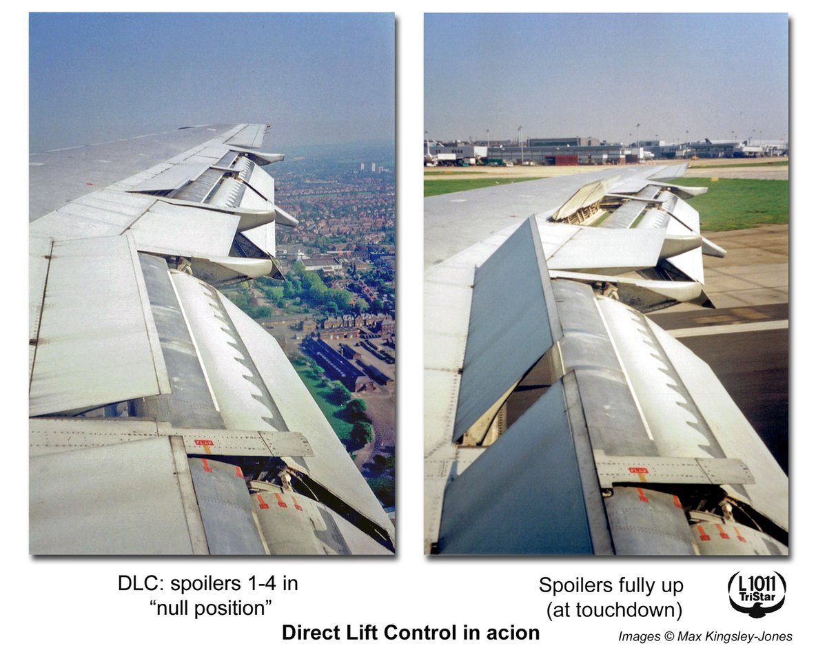 Max Kingsley-Jones tweet media