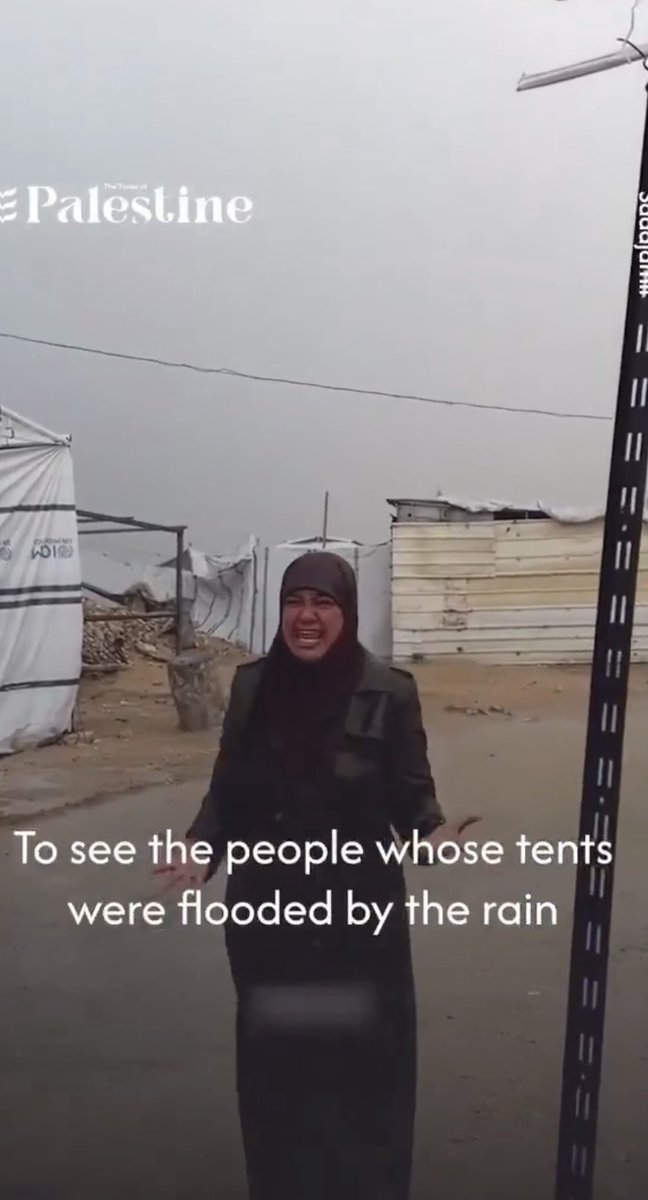 DailyFreier's tweet image. Actual Footage of me at Fyre Festival 2017: