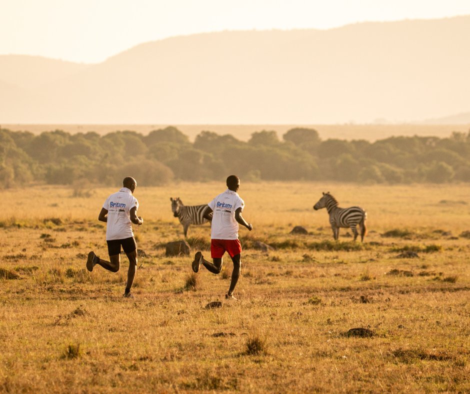BritamEA's tweet image. Yesterday, we proudly marked the 6th @MaraElephant  #UltraMARAthon and what an unforgettable experience it was! We set off under a breathtaking Mara sunrise and powered through to a blazing, beautiful afternoon finish. Over 280 runners rose to the challenge this year, showcasing