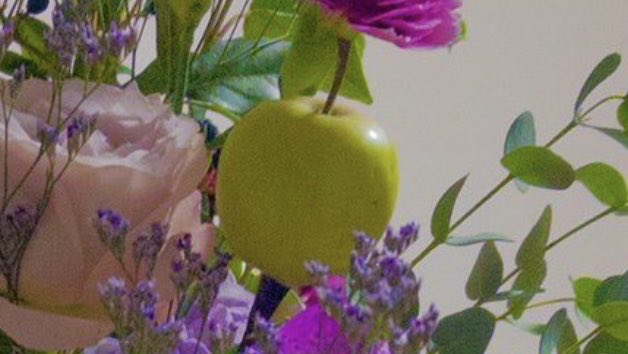 ryu9zap's tweet image. そして花束にはリンゴがジョインできるという学びがあった。

確認したところ、姫リンゴらしい。