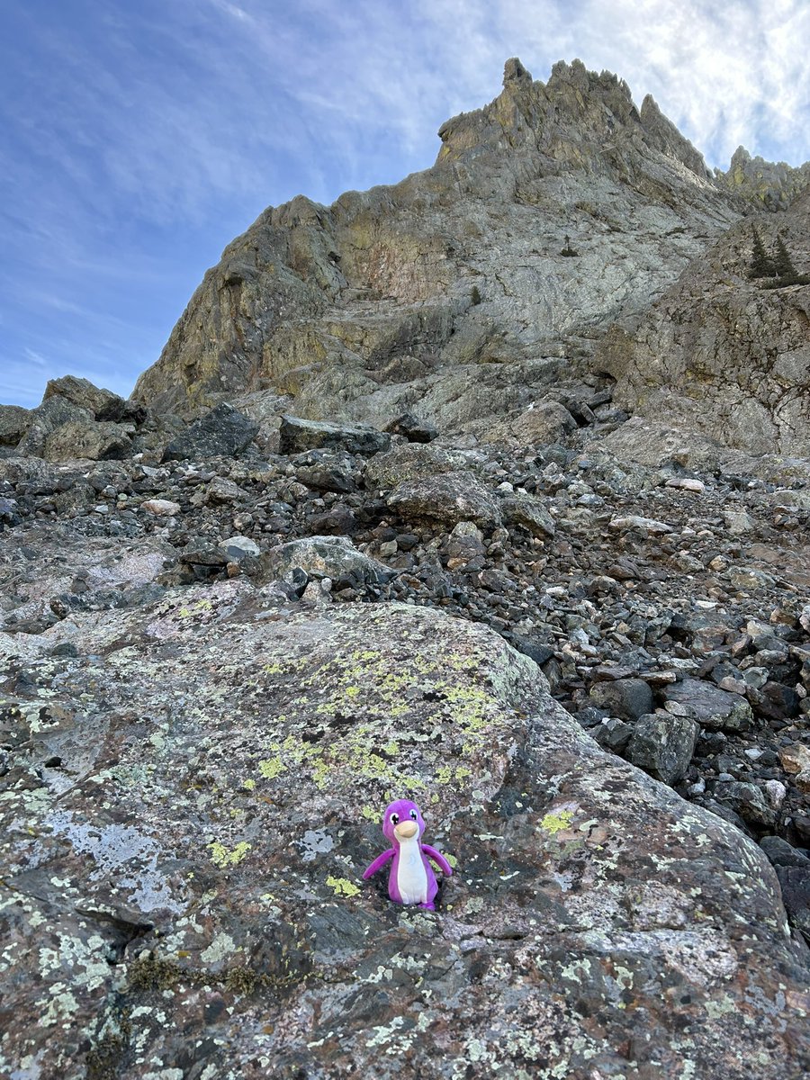 The Willow Lake trail is a hell of a climb just to get to the base of Challenger. I will need to start earlier next time to summit both peaks though

Highly recommend it. Great views the whole way and a bunch of waterfalls on route. Probably better to climb Kit Carson in summer