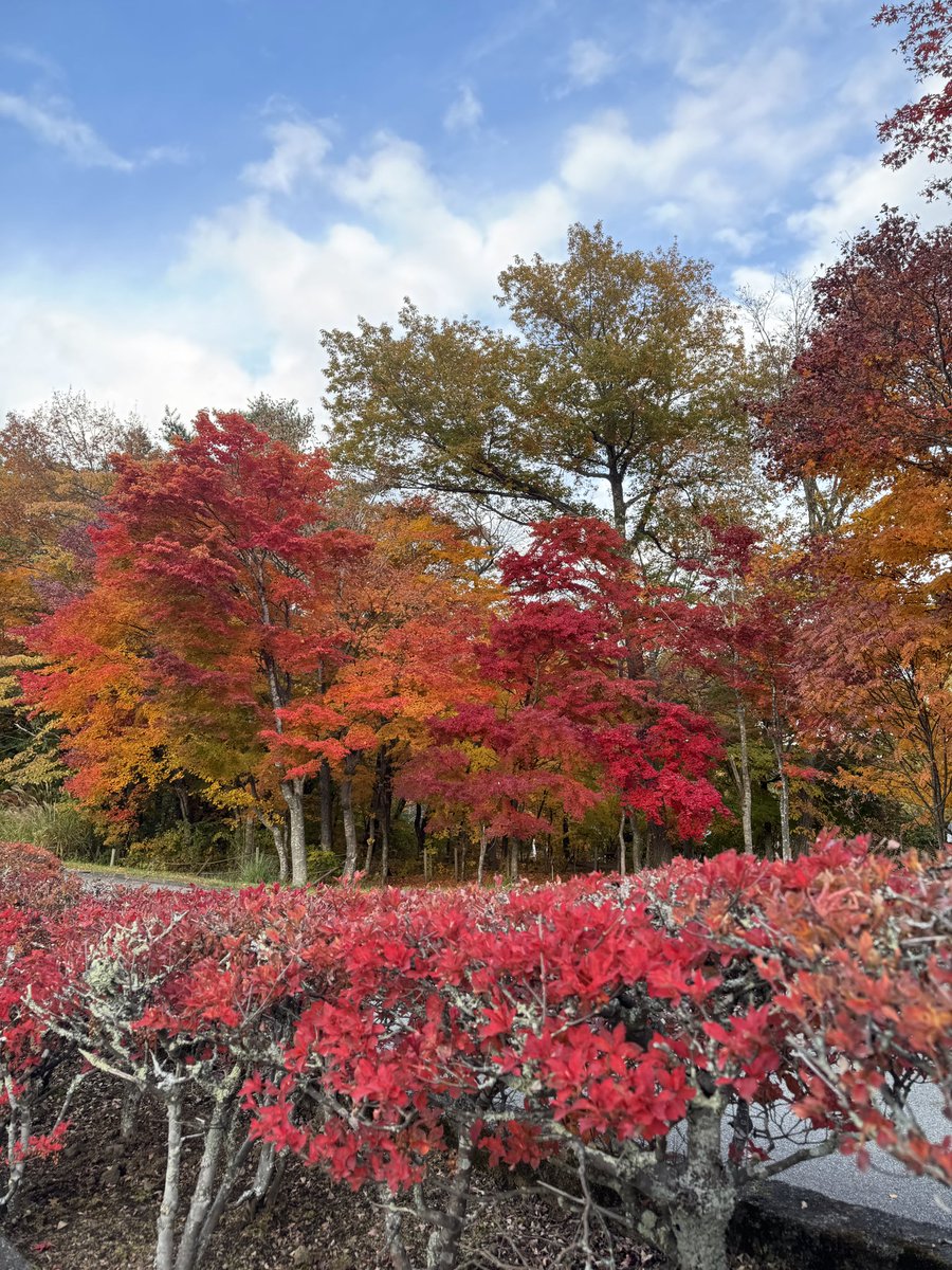 山梨の紅葉！