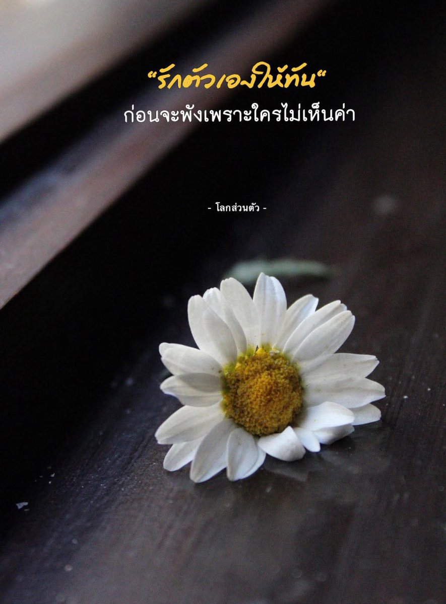 ใครคนไหนที่มาสมน้ำหน้า ขอให้มันถูกแฟนทิ้ง ปั๋วทิ้ง แมทิ้ง เจ็บ💔ปางตาย กะอักเป็นเลือด โดดเดี่ยวไปตลอดวิชิต 🙏🙏🙏