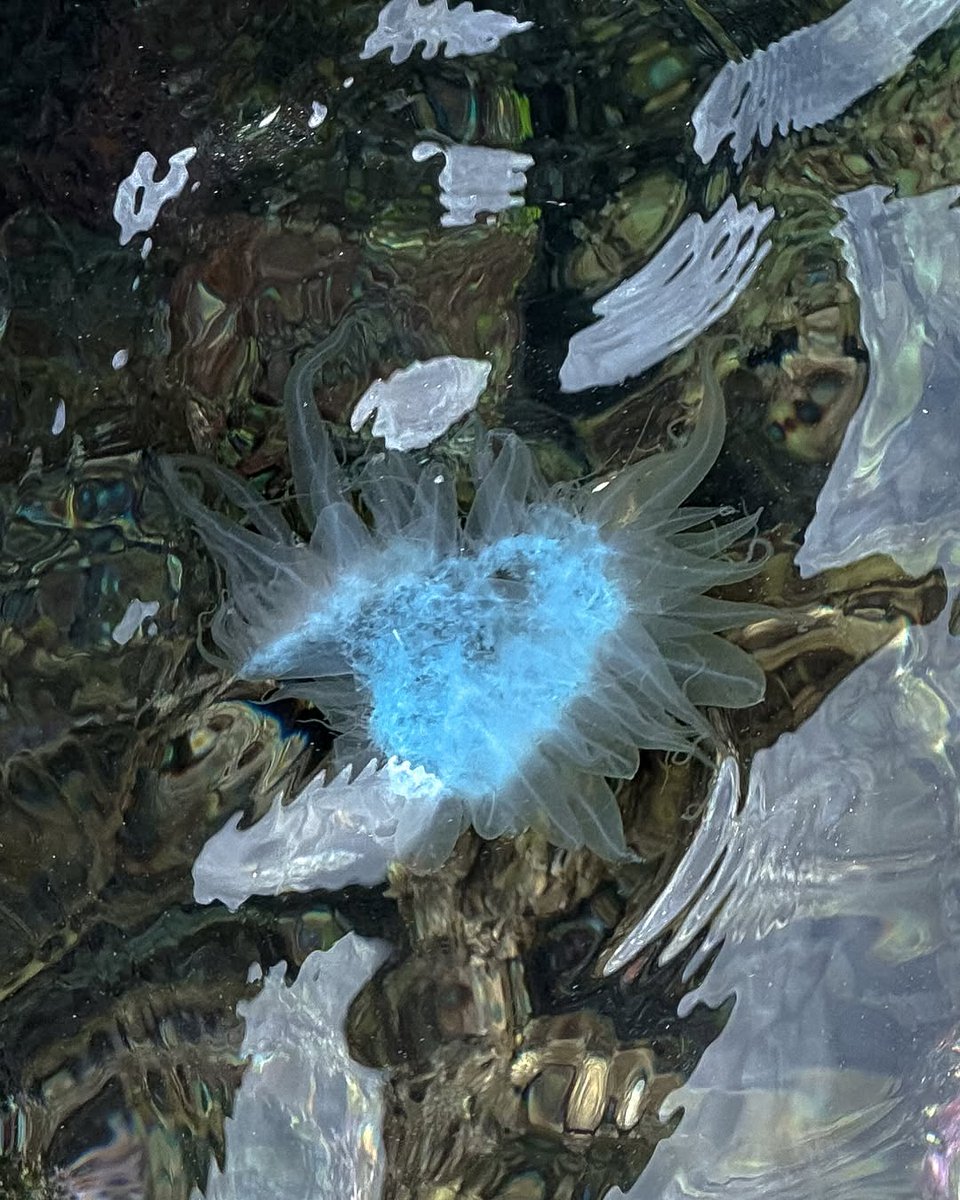 LavenderWaiting's tweet image. I took so many cute photos on this trip, and it would be a shame not to share them with this little bit of joy.💛📸#TravelDiary #CuteMoments #WanderVibes