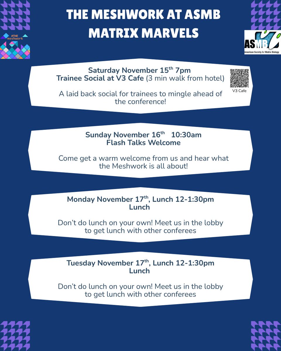 THEmeshwork tweet media