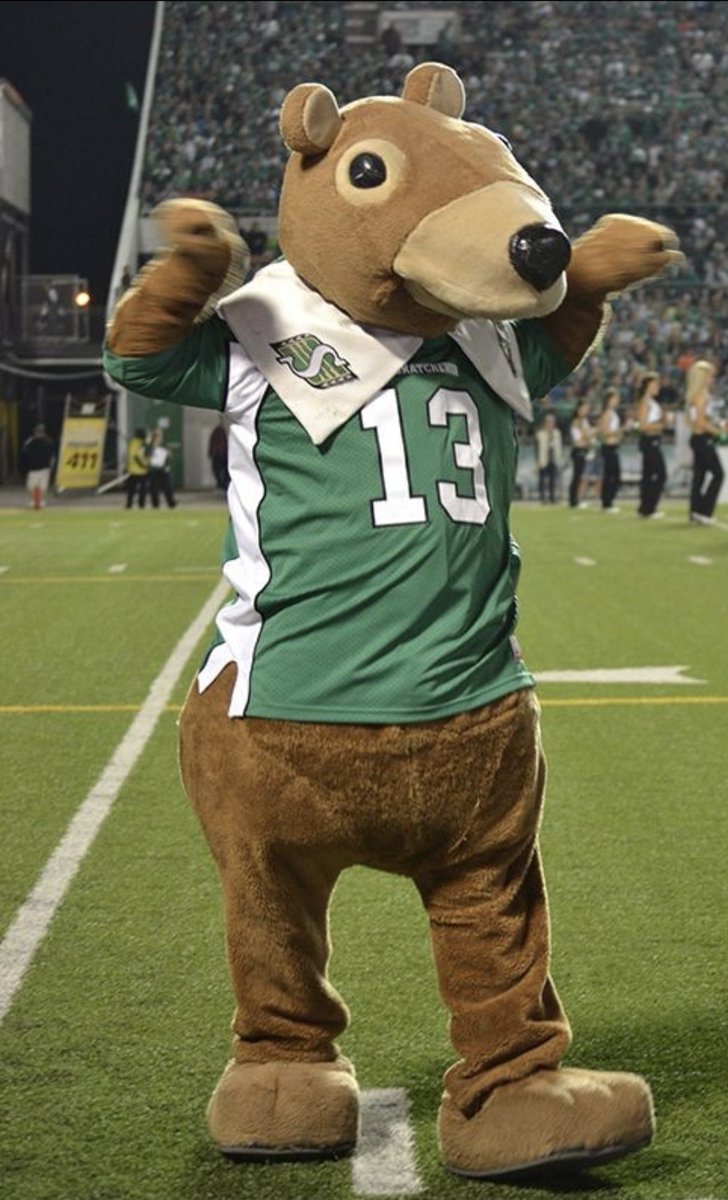 telliabear's tweet image. Game Day!  🏉🏆
#GreyCup Go #Riders