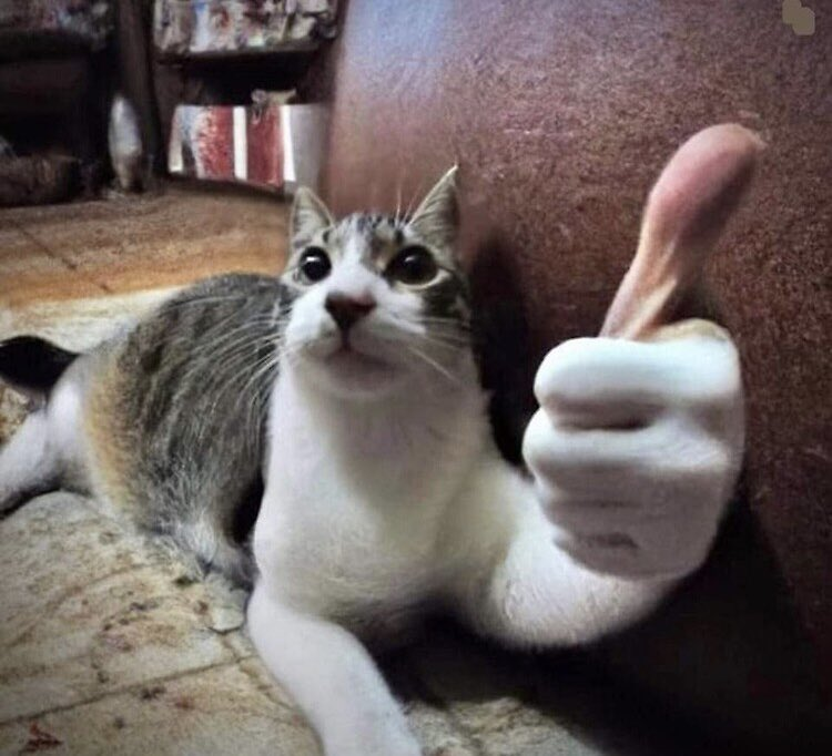 CumfyCoiin tweet media