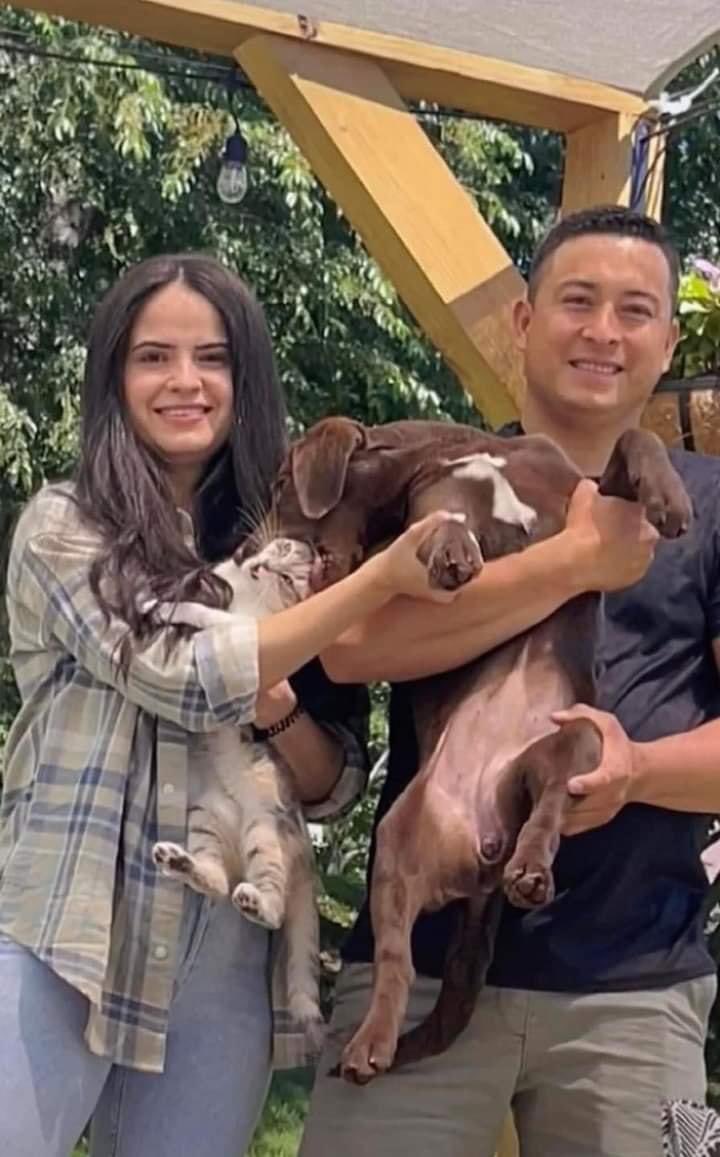 BichinhosFB's tweet image. Foto em família 🥰