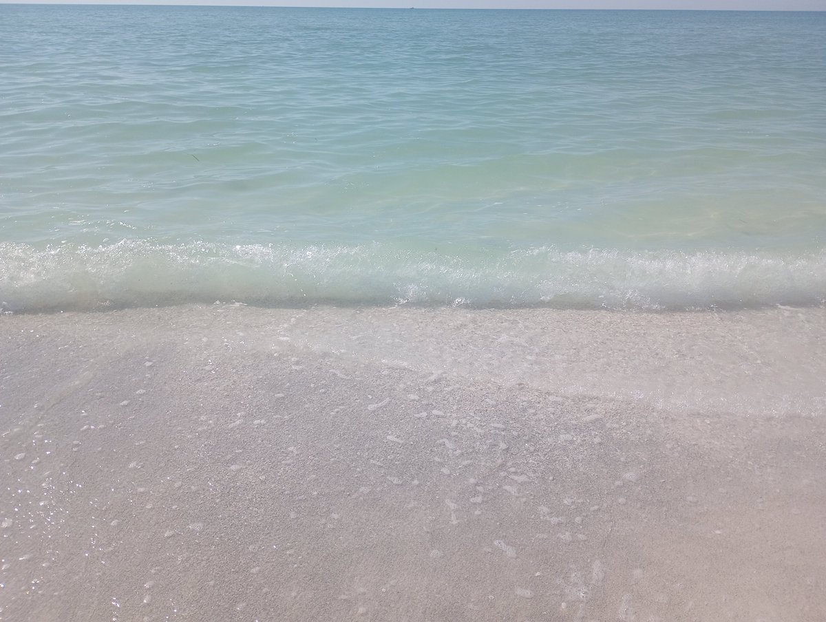 zakhvatayev's tweet image. Shhhhhh. I'm not supposed to tell you how idyllic life can be here.... it's sort of an international secret 🤫🤭😇 #swfl #swflstrong #swfloridalocal #territorial #beaches