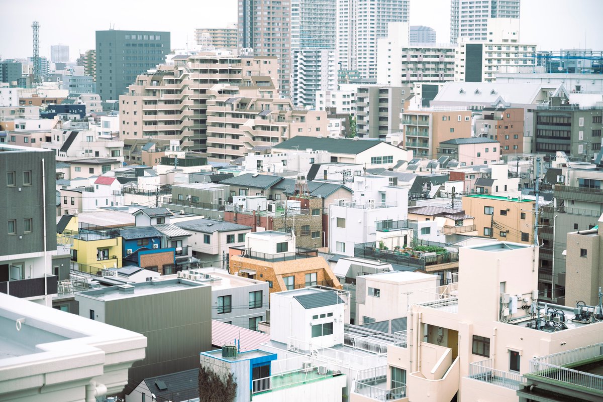 🦊📷🧸 tweet media