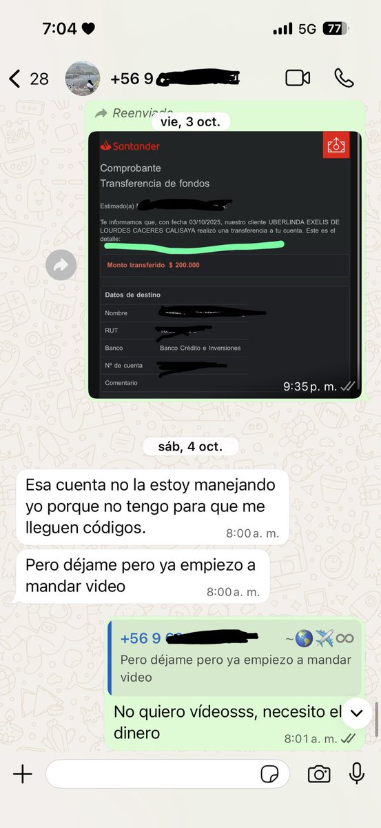 Marialé tweet media