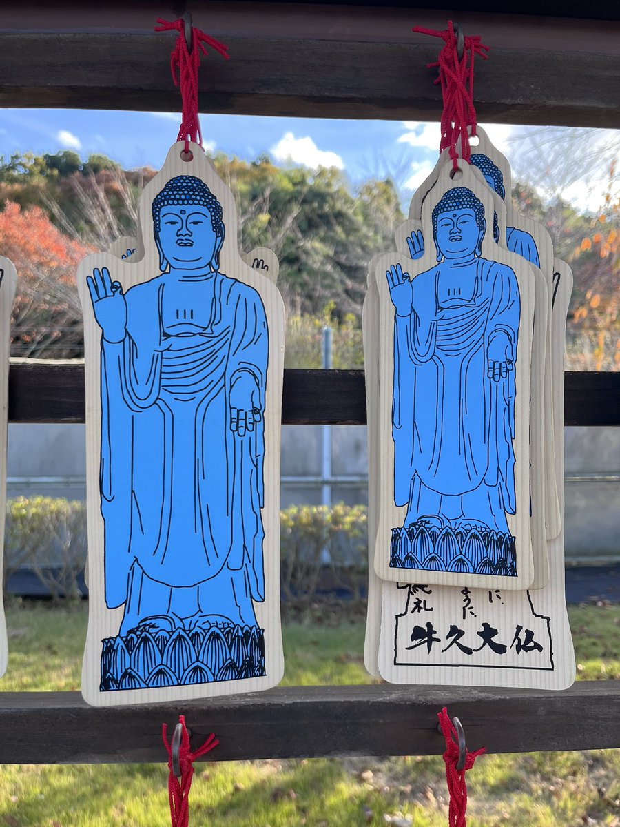 haruka (@foxxxy_flower) / Posts / X