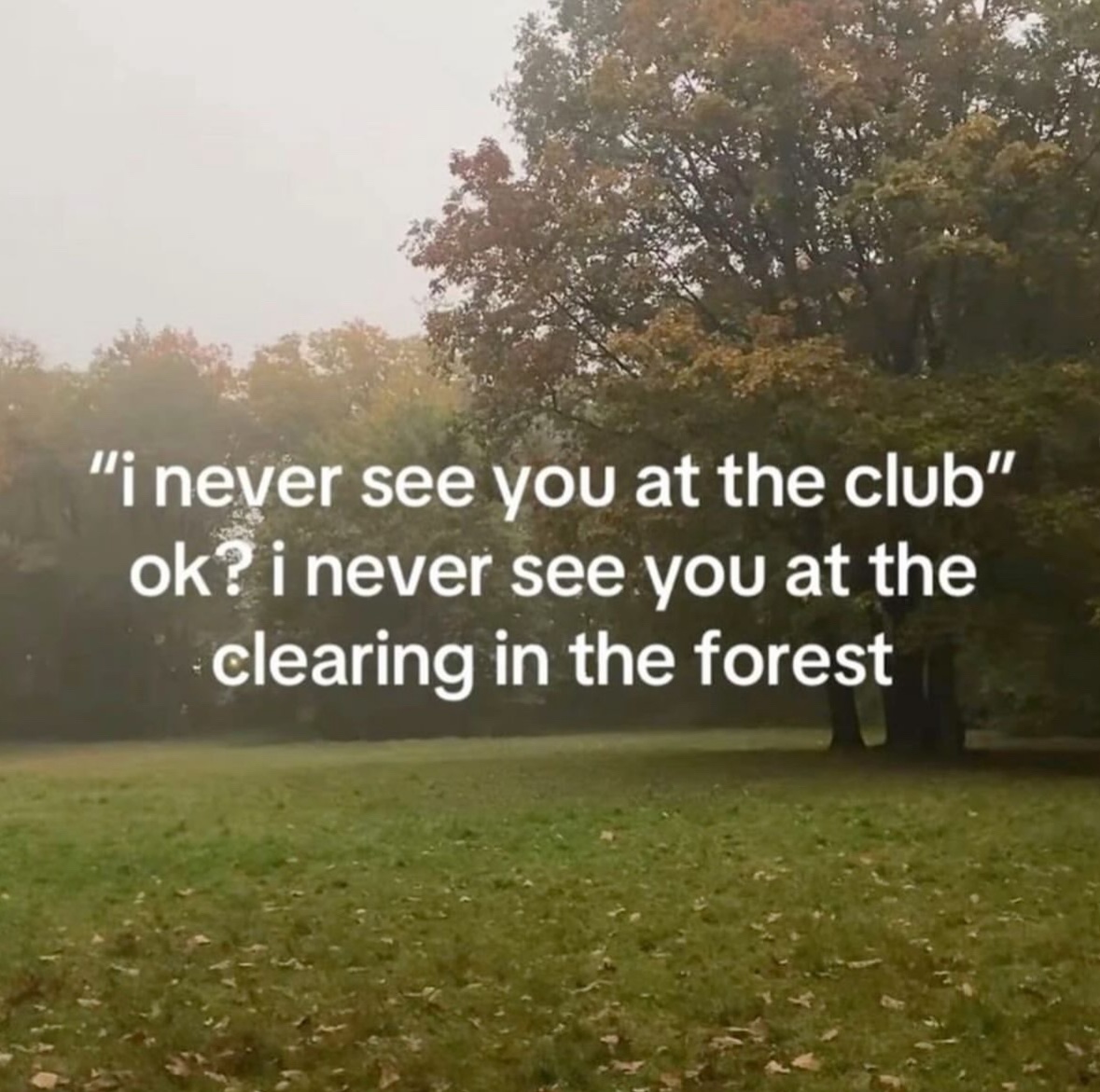 RespectfulMemes's tweet image. 