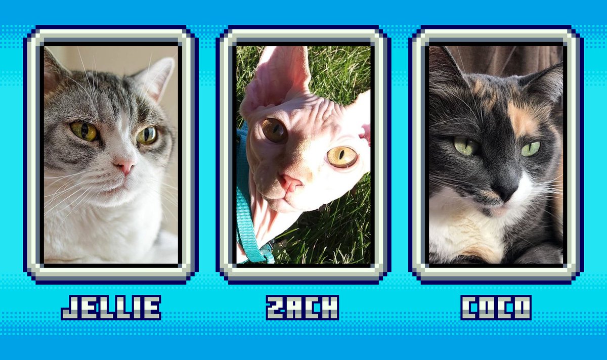 Minecraft Wiki FR tweet media