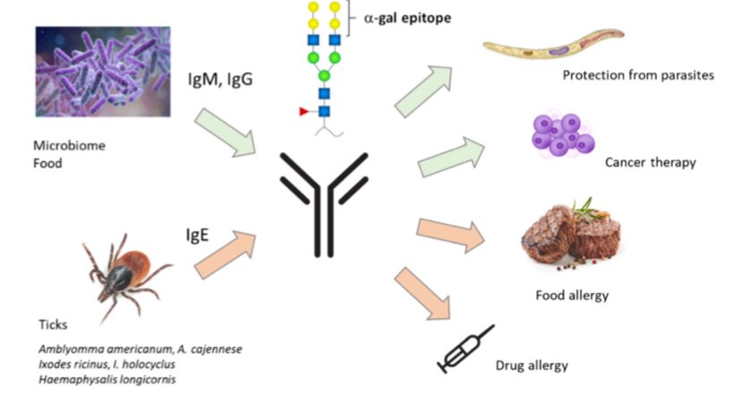 Manuel Portela Romero tweet media