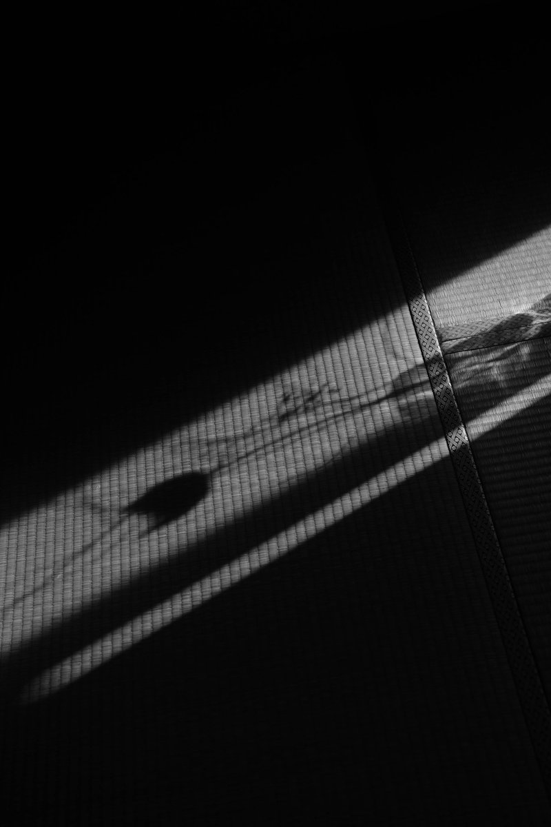 shifonws's tweet photo. 今日はモノクロ写真教室ありがとうございました！

モノクロって奥深いよねってことを皆さん理解してくれて嬉しかったな。
発想力、小道具の使用方法、モノクロだからこその情報量の整理、アート要素色々伝えられたかなあ。

写真は全てSONYクリエイティブルックの撮って出しです📷 https://t.co/DFUo8kwr7j
