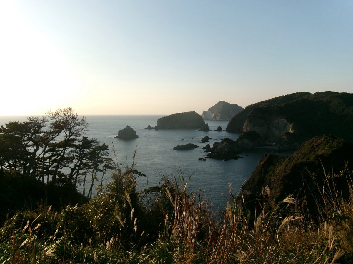leviii_80s's tweet photo. FZ55で撮った写真。
ちょっとずつ手ブレせずに撮れるようになってきた。 https://t.co/VWIkFcrNlA