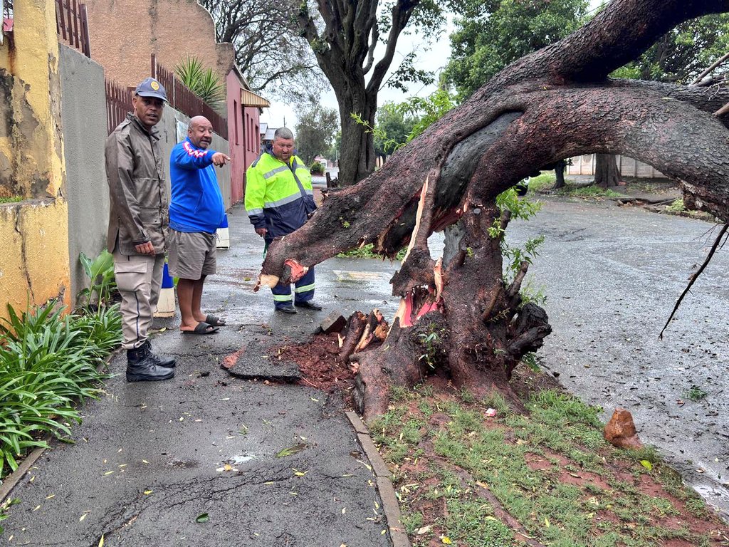 Jo'burg Metro Police Department - JMPD tweet media