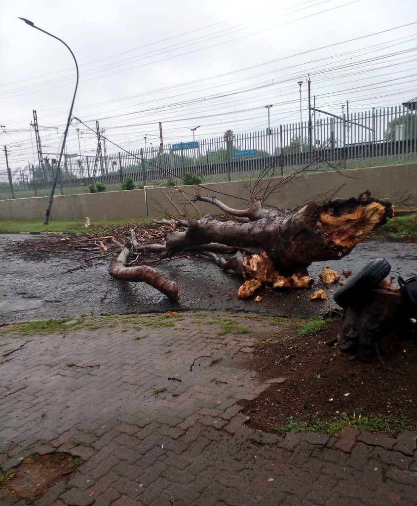 Jo'burg Metro Police Department - JMPD tweet media