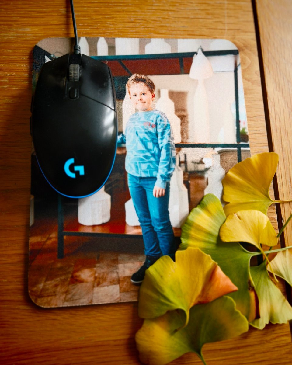 the Frenchie Mummy tweet media