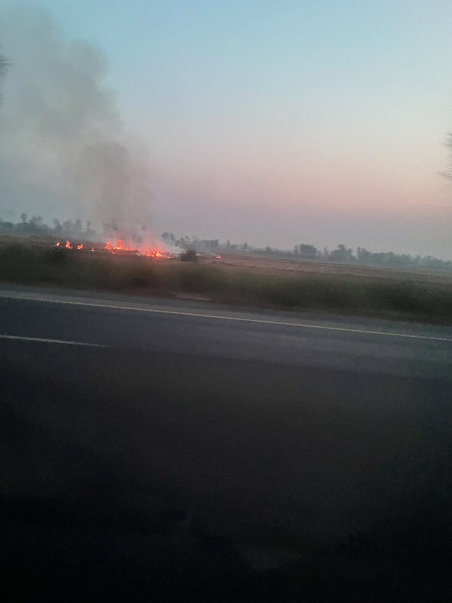 Zile Huma tweet media