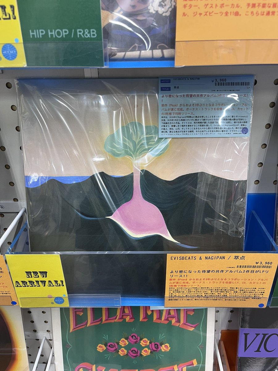 11/11 EVISBEATS & Nagipan「萃点」生産限定盤LP(予約) - TROOP