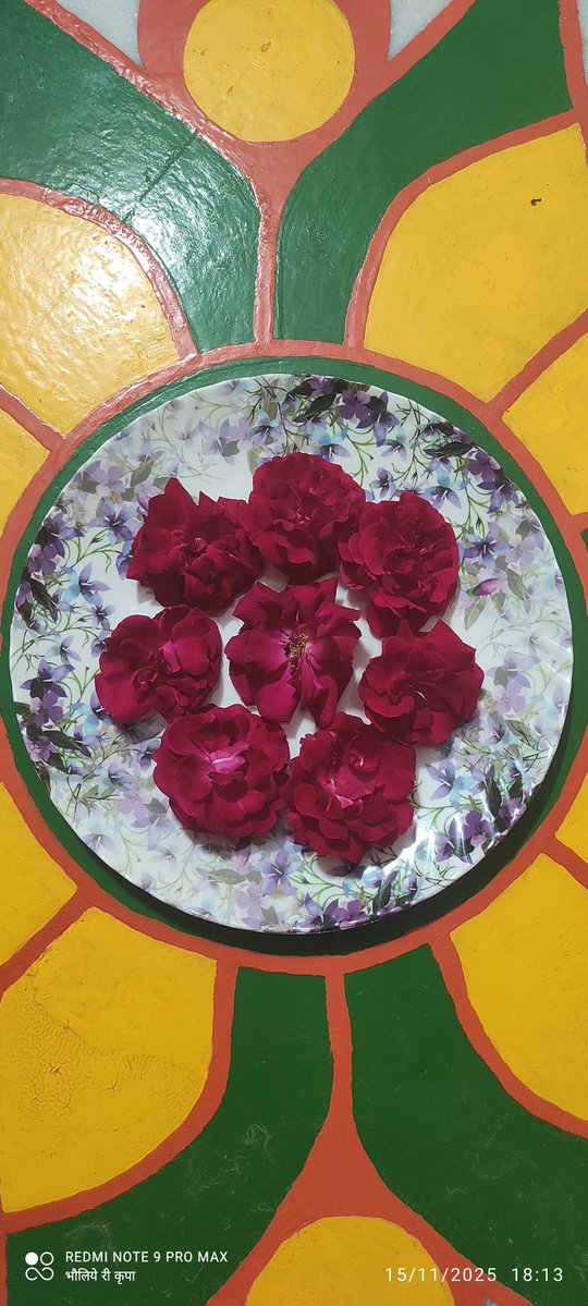 <a href="/DRMJodhpurNWR/">DRM JODHPUR</a> <a href="/NWRailways/">North Western Railway</a> Congratulations🎉🎉🎉🎉🎉🎉🎉

<a href="/RajuCha20348926/">Raju Charan - Bholiye ri krupa</a>