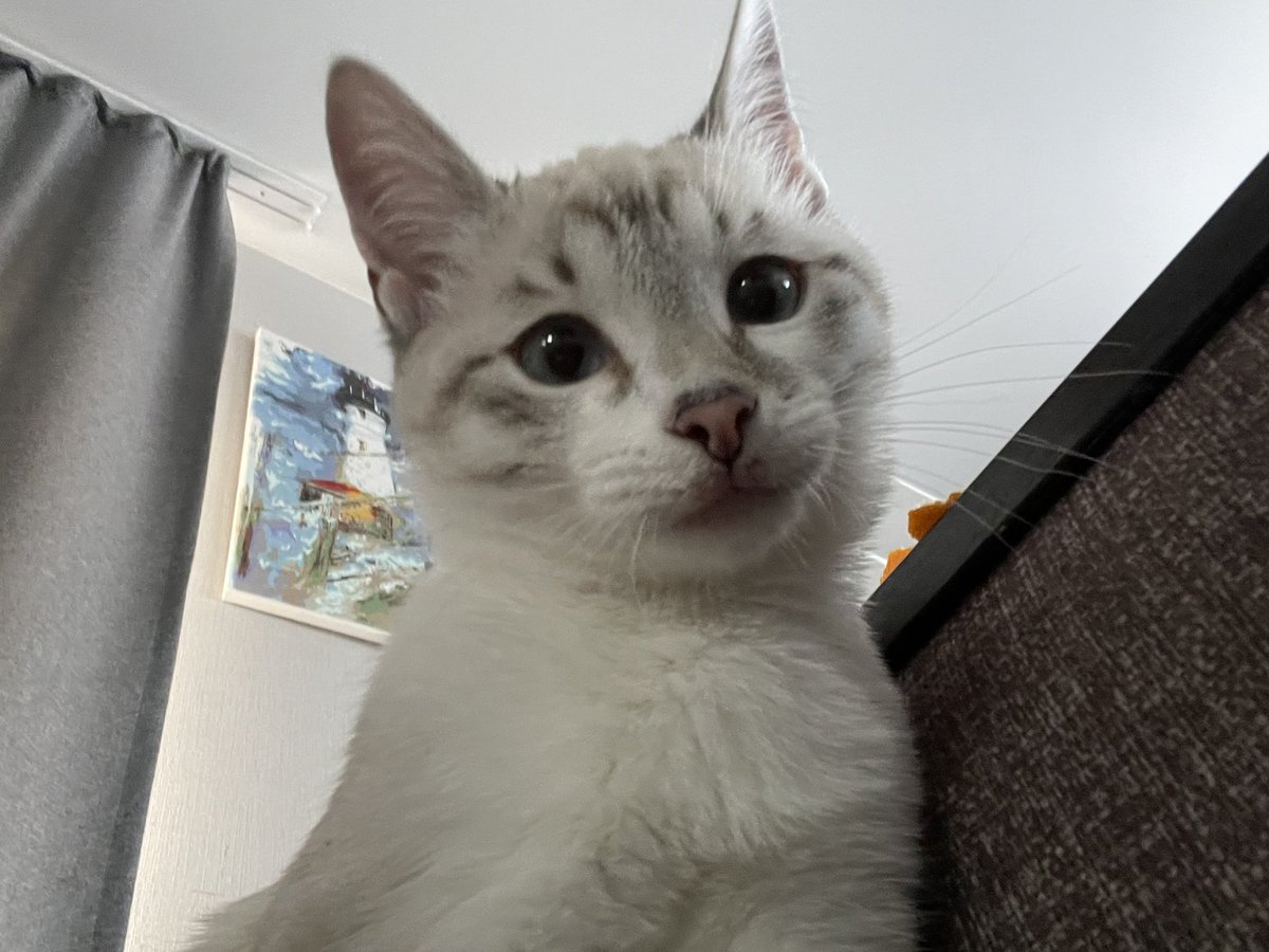 Варя (@varezka05) on Twitter photo 