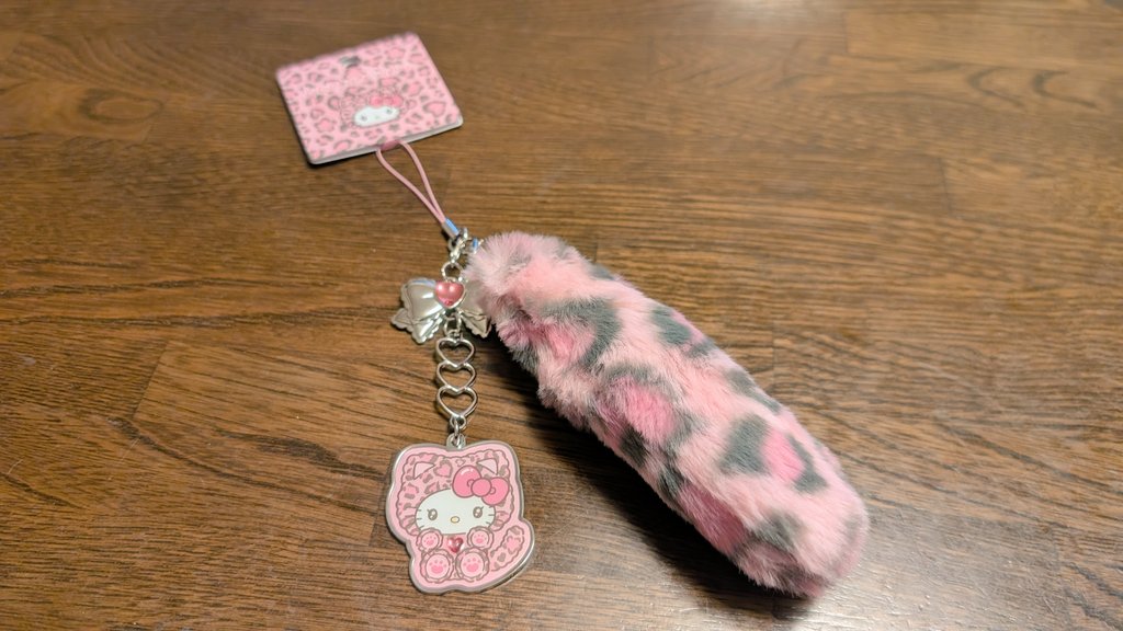 今日Bで友達と都内行ってて、近くにサンリオショップあったから寄って買っちゃった✨
友達にはプレゼントって通したけど…笑笑