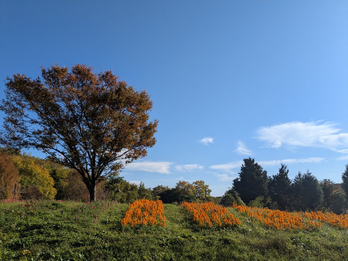 ここは…✨

思わず手の甲をつねってみた

いたっ😵‍💫

よかった
現実世界だった

あっちの世界に行ったかと思ってしまった☺️

空気が、自然の木々や草花たちの調和が心地よい