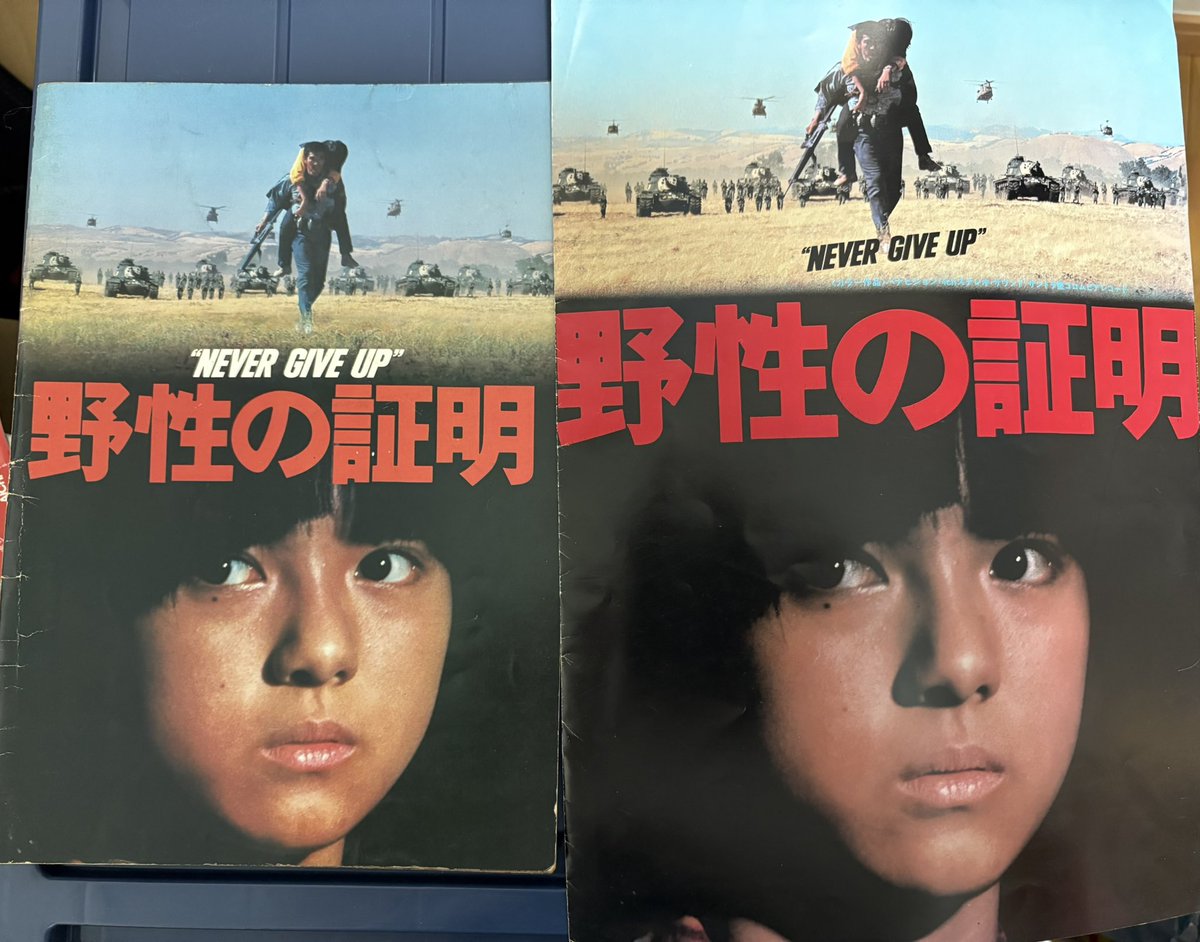 11月は薬師丸ひろ子さん月間 部屋を掃除してたら、野性の証明の