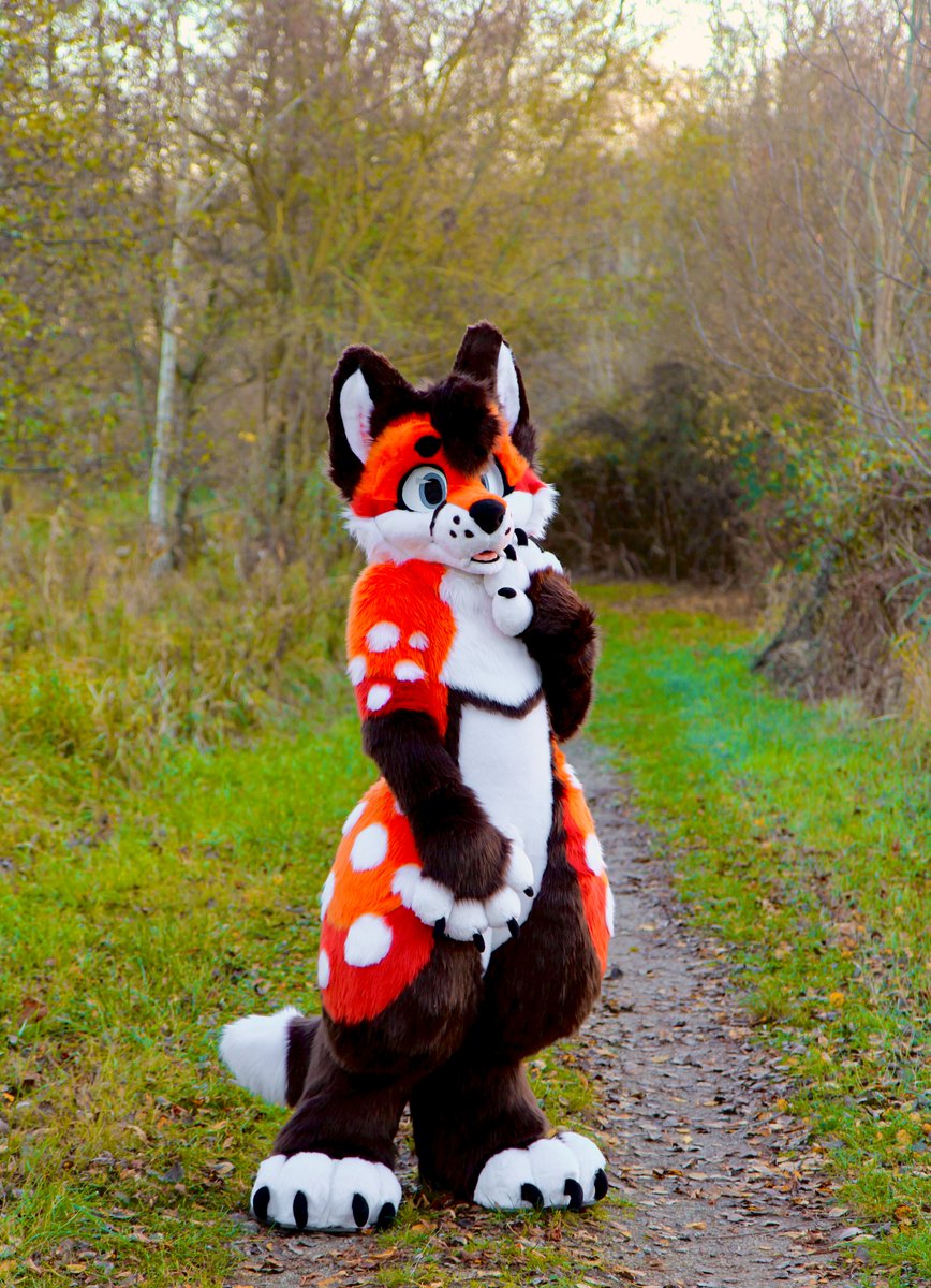 In the mood for a relaxing autumn walk? 🦊🍂🌅