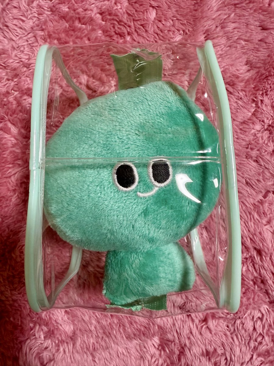 DJNAHO's tweet image. 先日誕生日を迎えまして、記念にアウィーちゃんをお迎えしました！
万博期間中に買えなかったけどかわいすぎて満足💚
お家もゲットしました🏠
台湾連れてくから待っててね🇹🇼

#techworld 
#EXPO2025 
#アフター万博
#万博ぬいぐるみ部