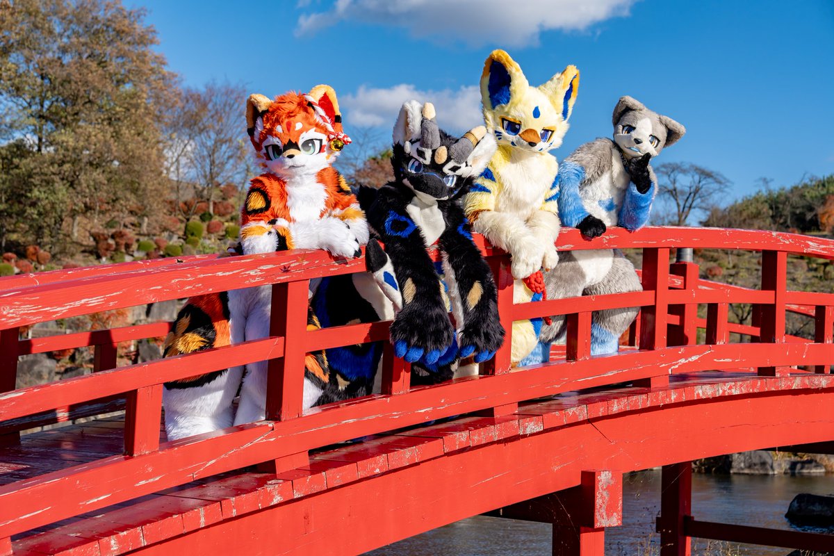 yasan_mofumofu's tweet photo. 週末紅葉撮影会🍁📸
楽しすぎた！楽しすぎた！
みんなありがとう！！！👍👍👍
#FursuitEveryday https://t.co/0bI4uGcjHE