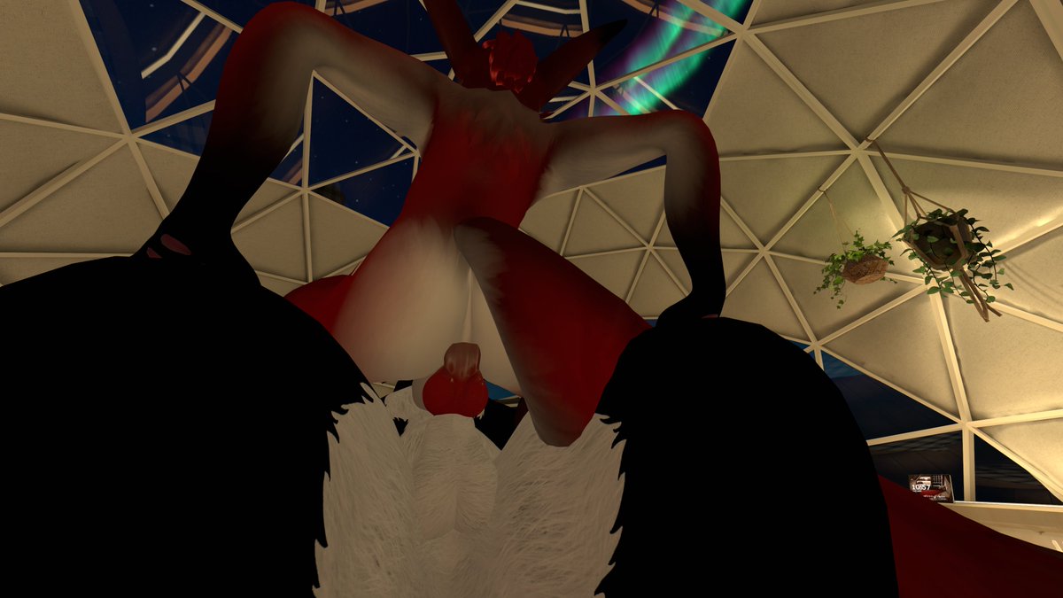 🇵🇱 ReDoXX 🔞 tweet media