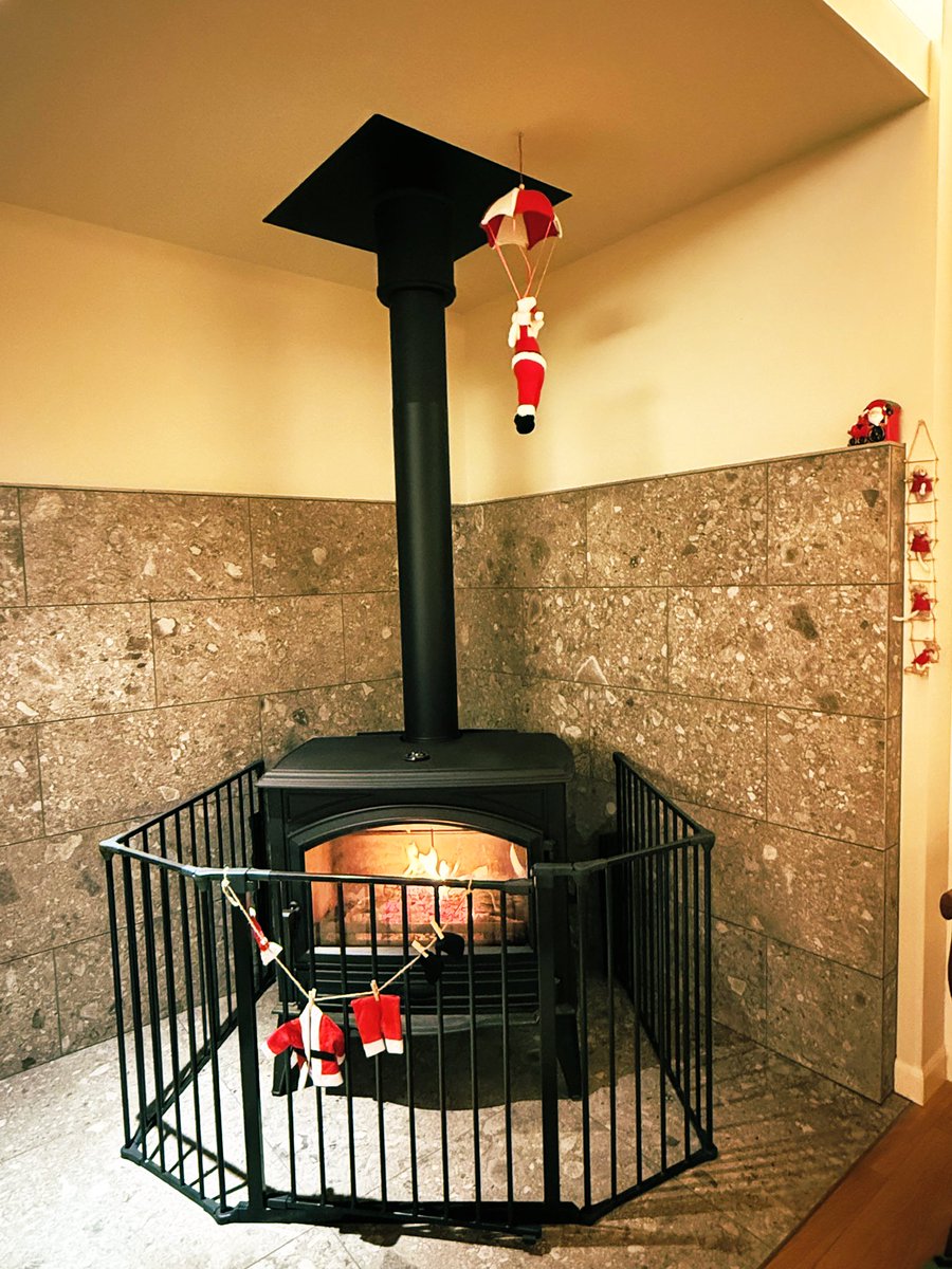 子どもたちのリクエストで今年も薪ストーブの季節がスタート😊