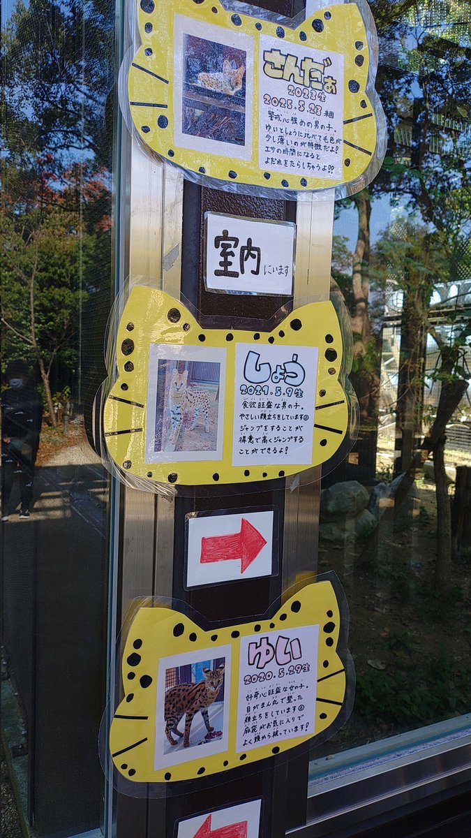 サーバル個体案内板が可愛くなってた
#のんほいパーク