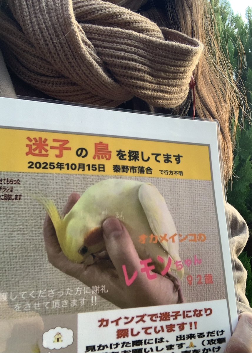 らいママ (@raimama563) / Posts / X